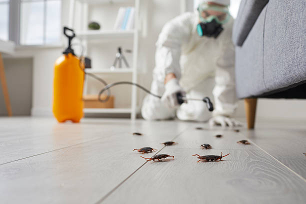 Commercial Kitchen Cockroach Control in Towanda